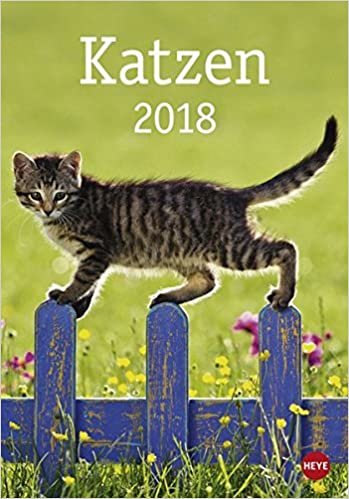 Katzen - Kalender 2018