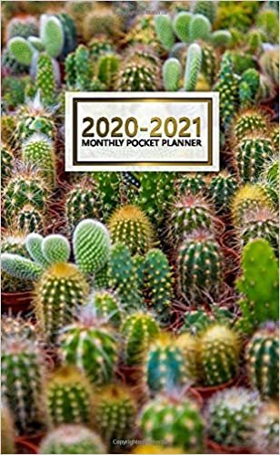 2020-2021 Monthly Pocket Planner: Nifty Two-Year (24 Months) Monthly Pocket Planner and Agenda | 2 Year Organizer with Phone Book, Password Log & Notebook | Trendy Cactus & Cacti Pattern indir