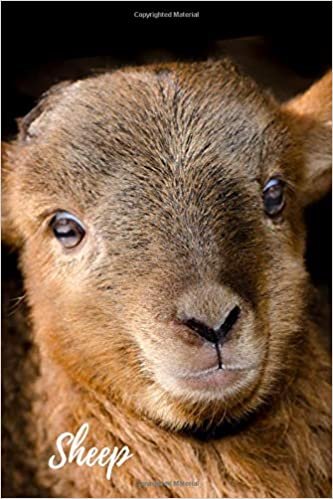 Sheep: Animal Notebook for Coloring Drawing and Writing (110 Pages, Unlined, 6 x 9) (Animal Notebook)