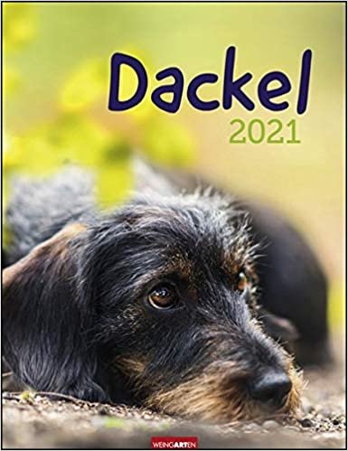 Dackel - Kalender 2021