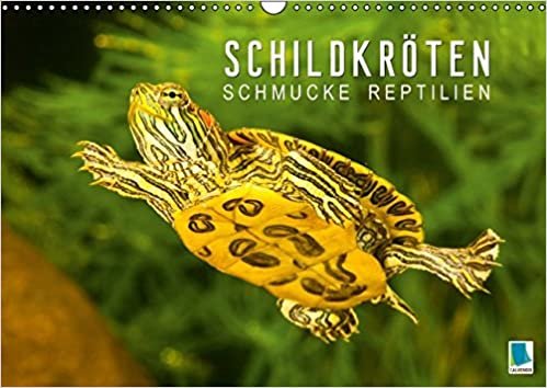 Schmucke Reptilien – Schildkröten (Wandkalender 2016 DIN A3 quer): Schmuckschildkröten (Monatskalender, 14 Seiten) (CALVENDO Tiere) indir