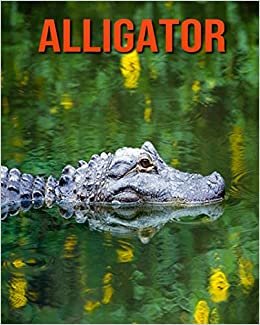 Alligator: Fascinating Alligator Facts for Kids with Stunning Pictures!
