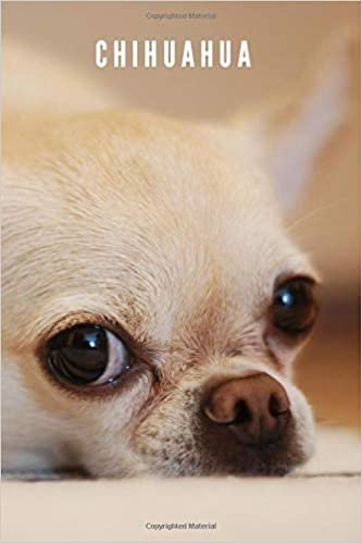 Chihuahua: Animal Notebook for Kids, Notebook for Coloring Drawing and Writing (110 Pages, Blank, 6 x 9) (Animal Notebook)