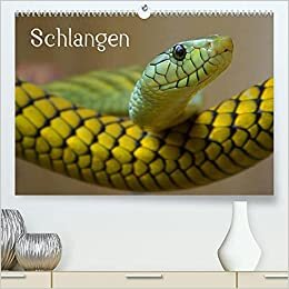 Schlangen (Premium, hochwertiger DIN A2 Wandkalender 2022, Kunstdruck in Hochglanz): Giftige und ungiftige Schlangen in beeindruckenden Farben (Monatskalender, 14 Seiten ) (CALVENDO Tiere)
