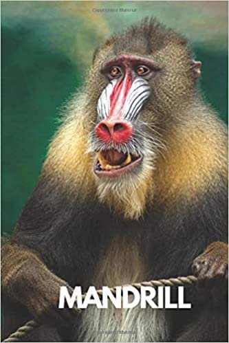 Mandrill: Animal Notebook, Journal, Diary (110 Pages, Blank, 6 x 9), gift for graduation, for adults, for entrepeneur, for women, for men, cool ... thinks to write in notebook, school notebook indir