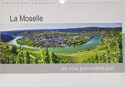 La Moselle en vue panoramique (Calendrier mural 2020 DIN A4 horizontal): Paysages de charme dans la vallée de la Moselle (Calendrier mensuel, 14 Pages ) (CALVENDO Places)