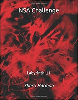 NSA Challenge: Labyrinth 11