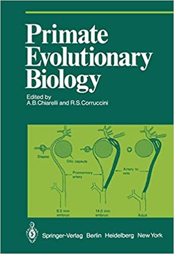 Primate Evolutionary Biology: Selected Papers (Part A) of the VIIIth Congress of the International Primatological Society, Florence, 7–12 July, 1980 (Proceedings in Life Sciences) indir