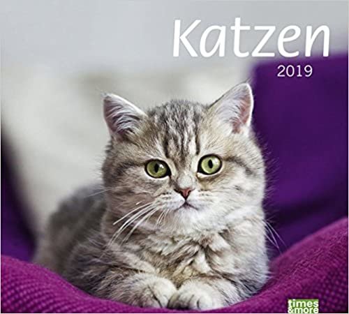 times & more Katzen Bildkalender 2019
