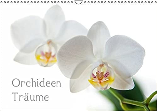 Orchideen Träume (Wandkalender 2017 DIN A3 quer): Fotografien von Orchideen (Monatskalender, 14 Seiten ) (CALVENDO Natur) indir