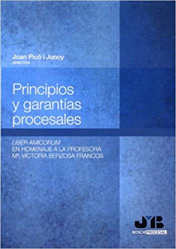 Principios y garantias procesales