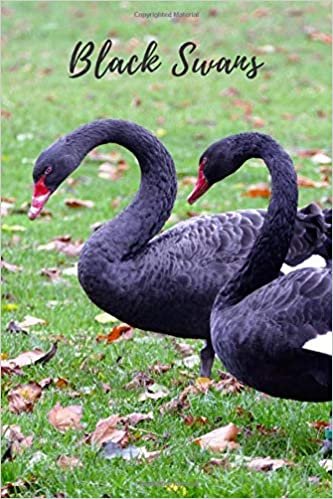 Black Swans: Notebook with Animals for Kids, Notebook for Coloring Drawing and Writing (Realistic Colors, 110 Pages, Unlined, 6 x 9)(Animal Glossy Notebook) indir