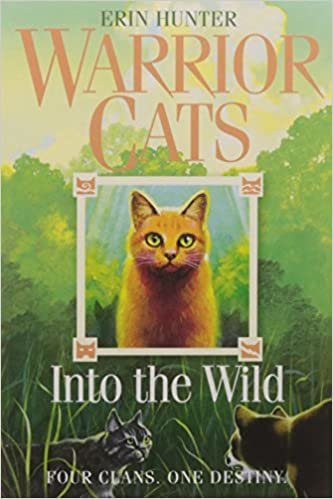 Warrior Cats (1) Into the Wild indir