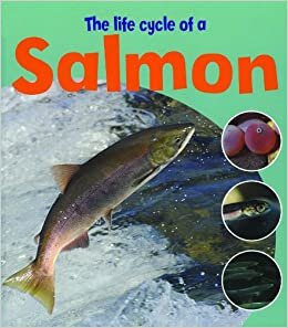 The Life Cycle of a Salmon (Learning about Life Cycles)