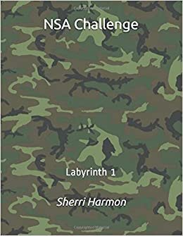 NSA Challenge: Labyrinth 1