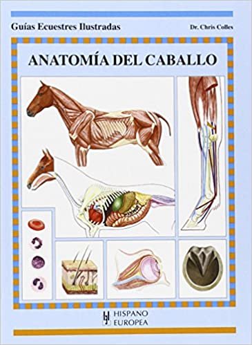 Anatomia del caballo/ Functional Anotomy (Guias ecuestres ilustradas / Illustrated Equestrian Guides)