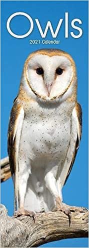 Owls 2021 Slim Calendar indir