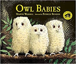 Owl Babies indir