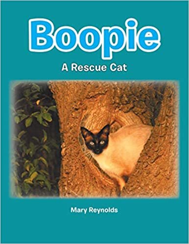 Boopie: A Rescue Cat indir