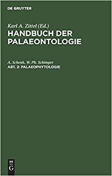 Palaeophytologie