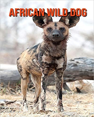 African Wild Dog: Children Book of Fun Facts & Amazing Photos