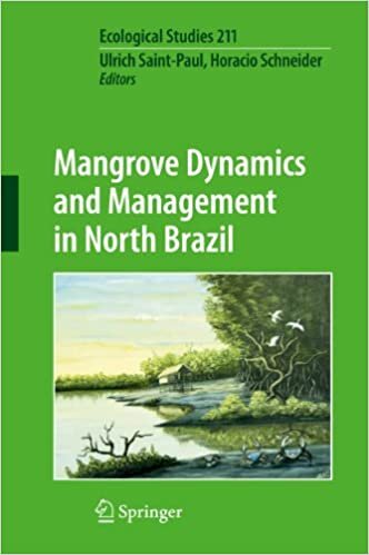 Mangrove Dynamics and Management in North Brazil (Ecological Studies (211), Band 211)