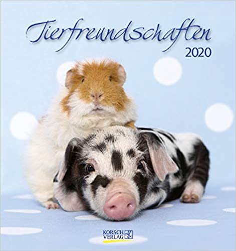 Tierfreundschaften 2020 indir