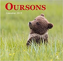 Oursons - Calendrier 2019