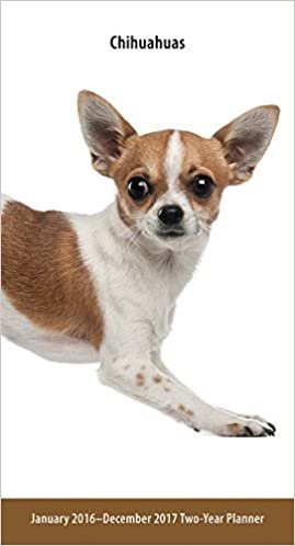 Chihuahuas 2016 Two-Year Pocket Planner indir