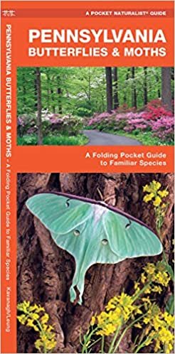 Pennsylvania Butterflies & Moths: A Folding Pocket Guide to Familiar Species (A Pocket Naturalist Guide) indir