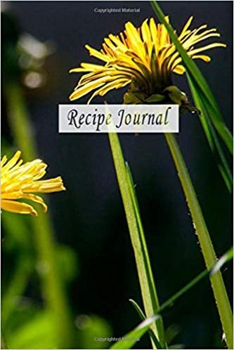 Recipe Journal: Notebook Journal, Recipe Organizer, Blank Recipe Book, Kitchen Accessory & Cooking Guide for Recording Family Treasured Recipes (110 Pages, Blank, 6 x 9) (Empty Cookbook)