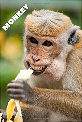 Monkey: Notebook, Journal, Diary (110 Pages, Unlined, 6 x 9) (Animal Glossy Notebook) indir