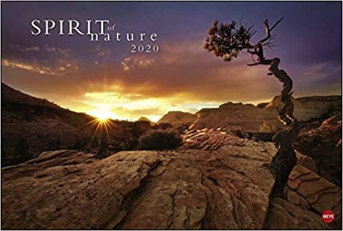 Spirit of nature 2020 indir