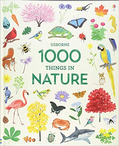 1000 Things in Nature (1000 Pictures) indir