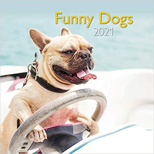 Funny Dogs 2021 - Wand-Kalender - Broschüren-Kalender - A&I - 30x30 - 30x60 geöffnet