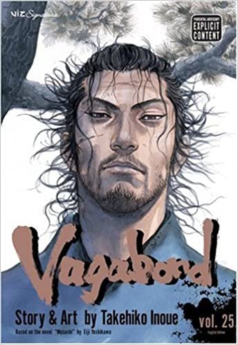 Vagabond, Vol. 25 (Vagabond (Paperback))