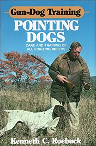 Gun Dog Training Pointing Dogs