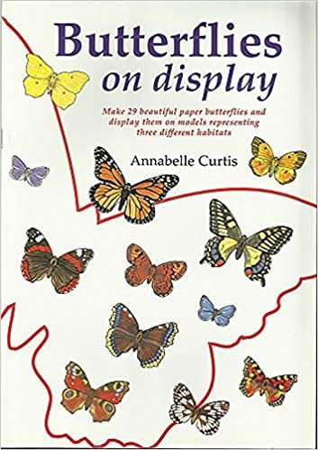 Butterflies on Display
