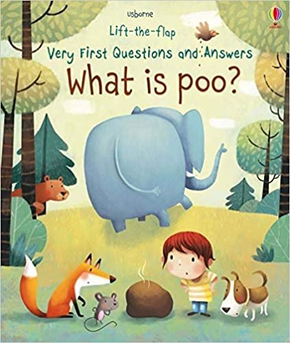 What is Poo? (Very First Lift-the-Flap Questions and Answers) (Very First Lift-the-Flap Questions & Answers): 1 (Lift the Flap Very First Q & A)