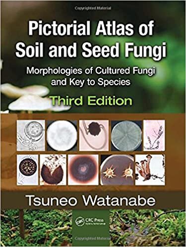 Pictorial Atlas of Soil and Seed Fungi: Morphologies of Cultured Fungi and Key to Species,Third Edition (Mycology, Band 4)