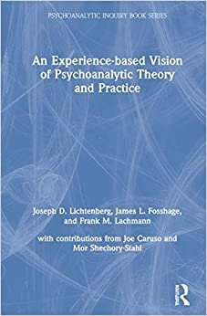 An Experience-based Vision of Psychoanalytic Theory and Practice: Seeking, Feeling, and Relating (Psychoanalytic Inquiry)