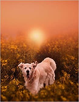 Notebook: Dog Animal Summer Golden Retriever Animal 8.5" x 11" 150 Ruled Pages