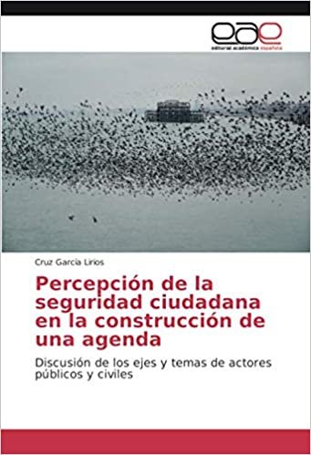 Percepción de la seguridad ciudadana en la construcción de una agenda: Discusión de los ejes y temas de actores públicos y civiles