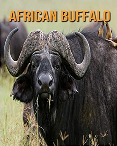 African buffalo: Childrens Book Amazing Facts & Pictures about African buffalo