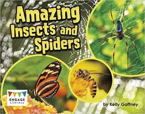 Raintree: Amazing Insects and Spiders (Engage Literacy: Engage Literacy Turquoise - Extension a)