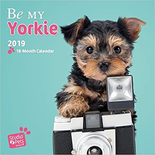 Be my Yorkie - Yorkshire Terrier 2019 - 18-Monatskalender: Original Myrna-Kalender