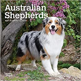 Australian Shepherds 2021 Calendar