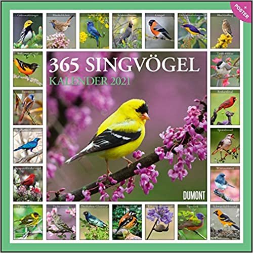 365 Singvögel 2021 - Broschürenkalender - Wandkalender - mit Poster - Format 30 x 30 cm indir