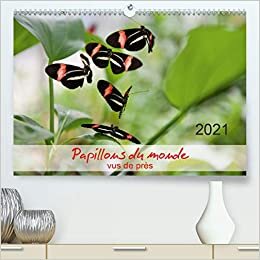 Papillons du monde, vus de prs (Premium, hochwertiger DIN A2 Wandkalender 2021, Kunstdruck in Hochglanz): Portraits de douze papillons aux couleurs ... mensuel, 14 Pages ) (CALVENDO Animaux)