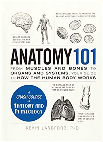 Anatomy 101: From Muscles and Bones to Organs and Systems, Your Guide to How the Human Body Works indir